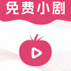 风行视频联想版免费版下载